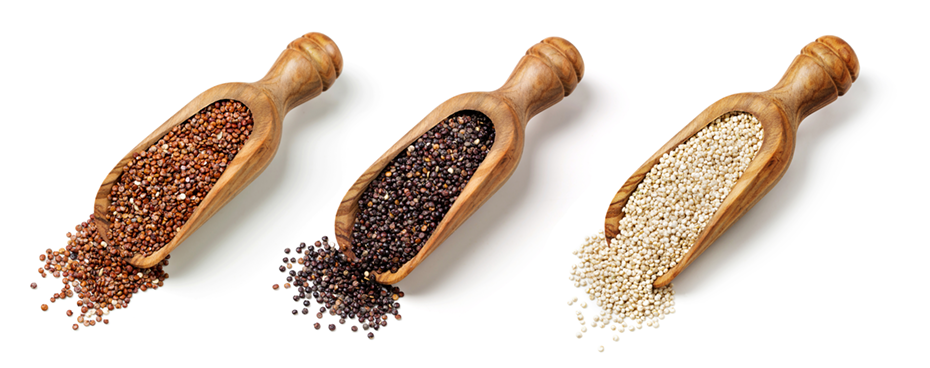 quinoa fehérje