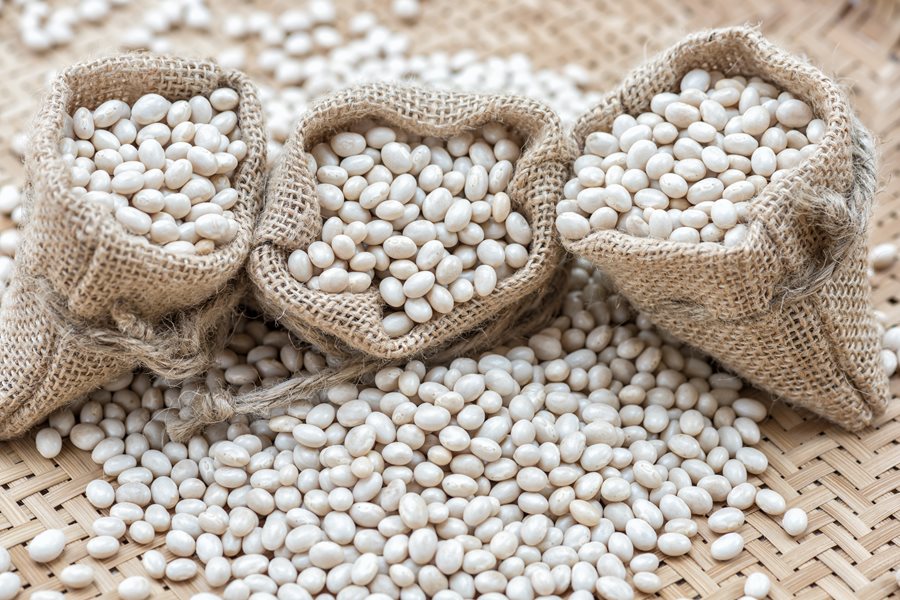 Closeup-white-beans-Navy-beans_shutterstock_401356291.jpg hüvelyes saláta fehérbab