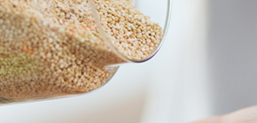 Quinoa – miért ez lesz a diétád hőse?